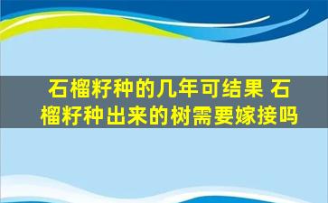 石榴籽种的几年可结果 石榴籽种出来的树需要嫁接吗